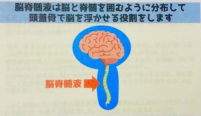 脳脊髄液、デトックス、寝てる時、睡眠、疲労、原因