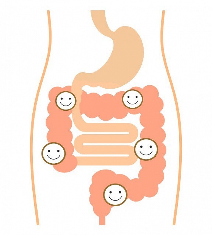 便秘、改善、大腸、胃腸、動き、マッサージ、悪玉菌、善玉菌、食事、何、いつから