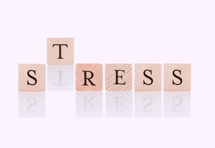ストレス、ホルモン、コルチゾール